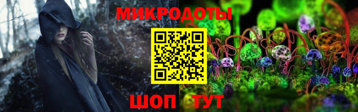 Галлюциногенные грибы прущие грибы Астрахань